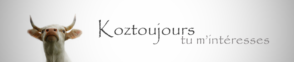 vachebanner